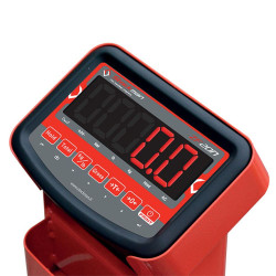 Transpalette de pesage 2000 kg ZF20N