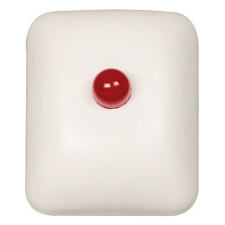 Indicateur d'action pour alarme Type 1