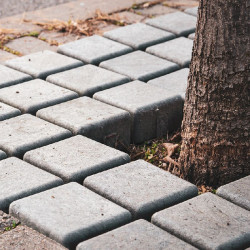 Grille d'arbre en plastique recyclé et recyclable - Ecologico