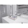 Distributeur en inox de mouchoirs 