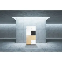 Armoire de bureau avec casiers pour vêtements et effets personnels