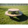 Table de pique nique octogonale en compact stratifié Teck + acier