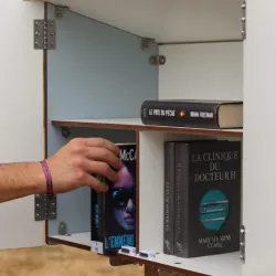 Boîte à lire en bois sur pied ou murale