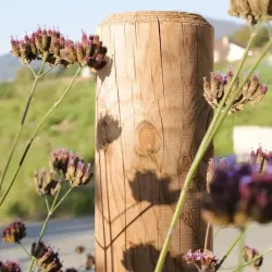 Poteau de clôture ou anti-stationnement rond D.8 à 14 cm en bois Pin