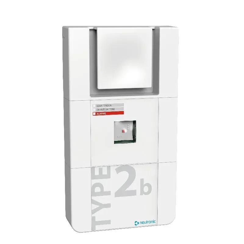 Alarme incendie BAAS de type Sa avec Flash - TT2b-SaL