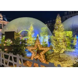 Motif lumineux de Noël pour poteau ou à poser