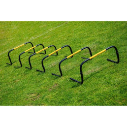 Kit de 6 haies self return