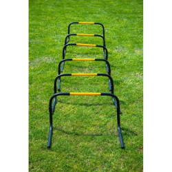 Kit de 6 haies avec sac de transport