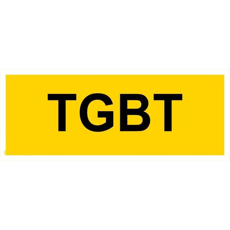 Panneau TGBT