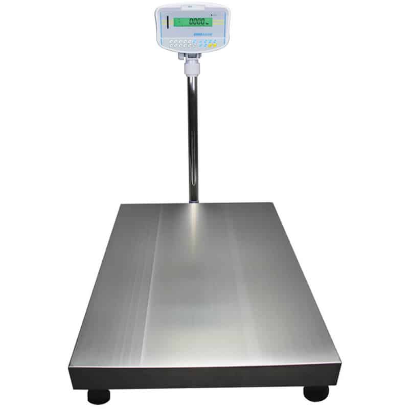 Balance au sol controle de pesée GFK - Balance professionnelle