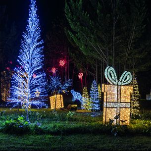 Décoration et illumination de noël