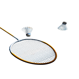 Badminton